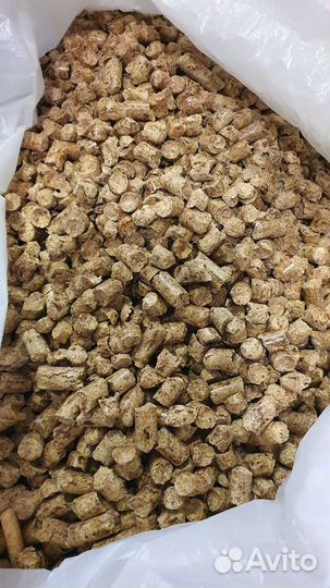 Кошачий лоток большой