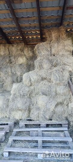 Сено в тюках