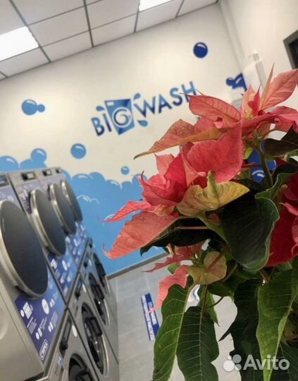 Прачечная самообслуживания Big Wash