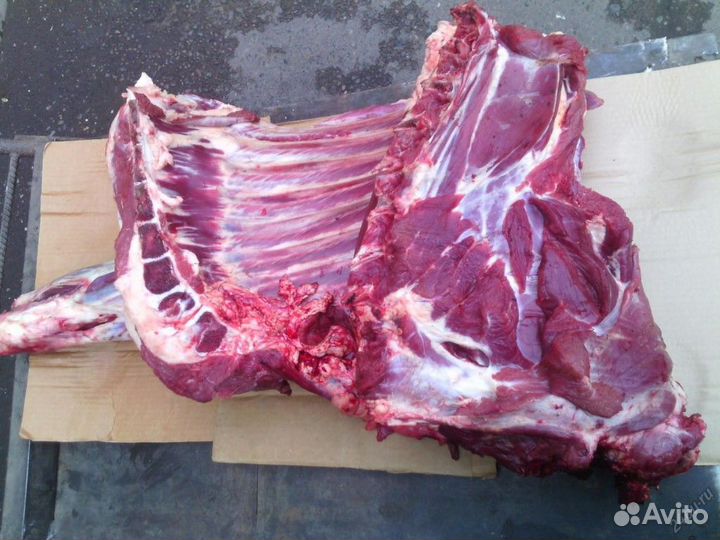 Продам мясо телятина