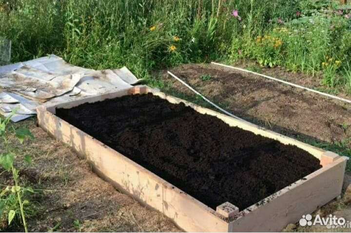 Чернозем и плодородного грунта