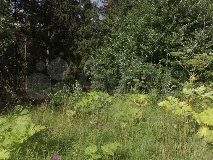 Участок 15 сот. (СНТ, ДНП)