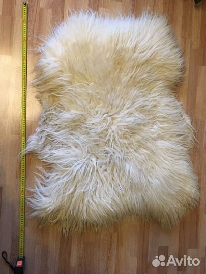 Шкура горного барана