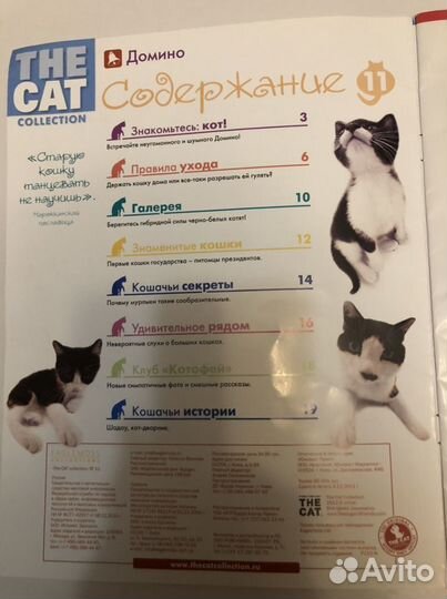 О домашних питомцах