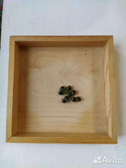 Глазки пришивные зелёные 9 мм - 5 пар