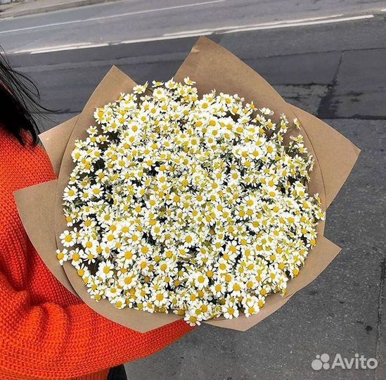 Ромашки Букет из ромашек доставка