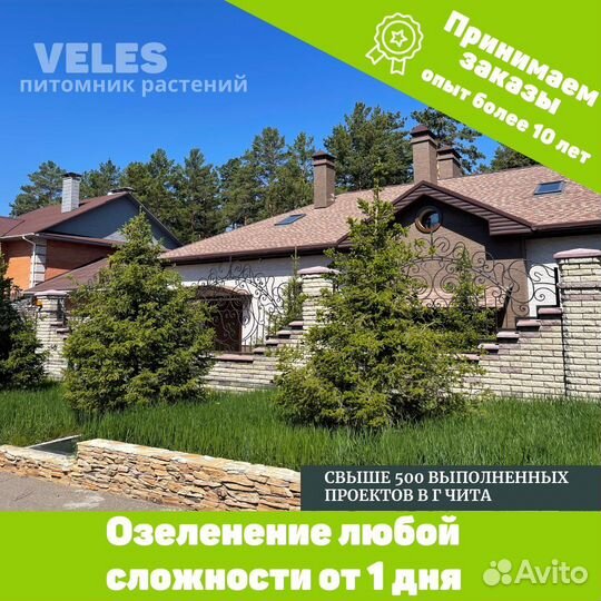 Озеленение комплексное под ключ от питомника Veles