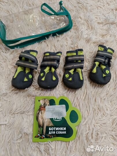 Обувь для собак