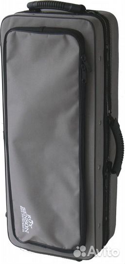 ROY benson AS-202 Eb альт саксофон