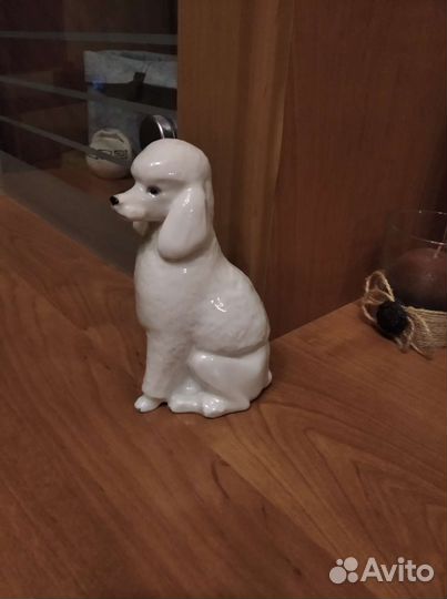 Пудель фарфор лфз
