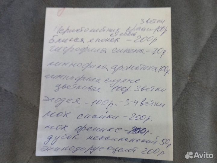 Аквариумные растения