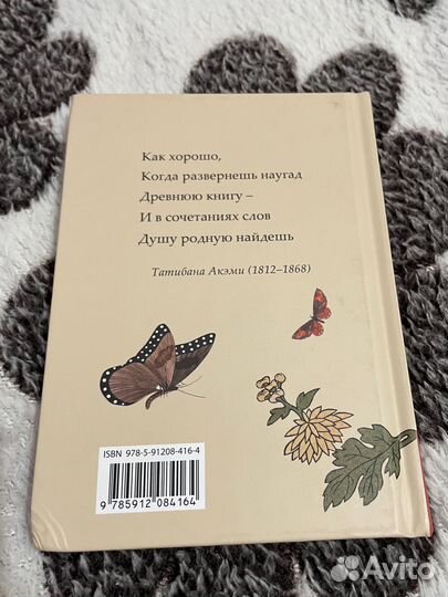 Книга Бабочки и Хризантемы
