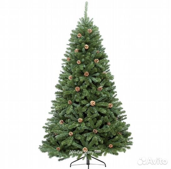 Елка с шишками «Царь Елка»