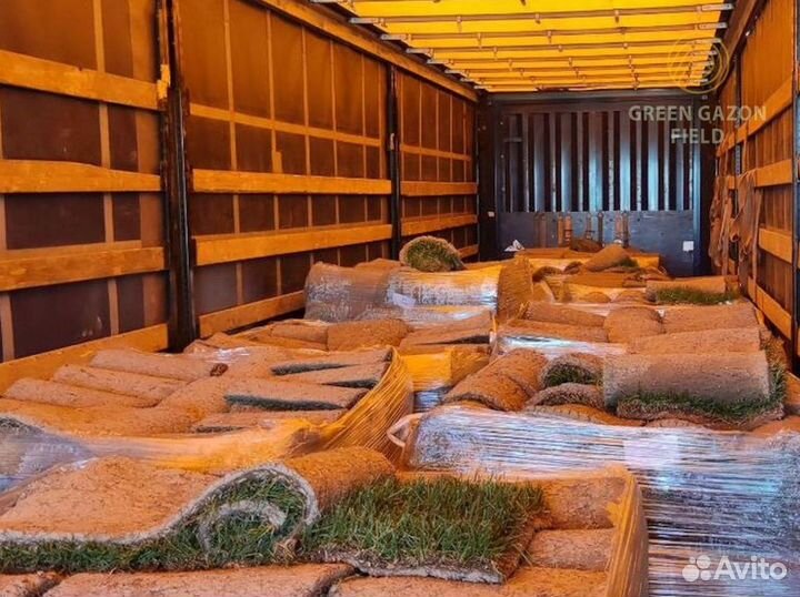 Полевой газон 