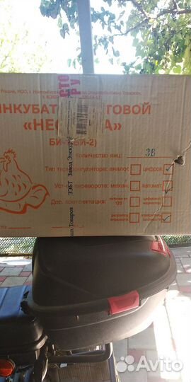 Инкубатор для яиц