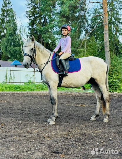 Пони в спорт