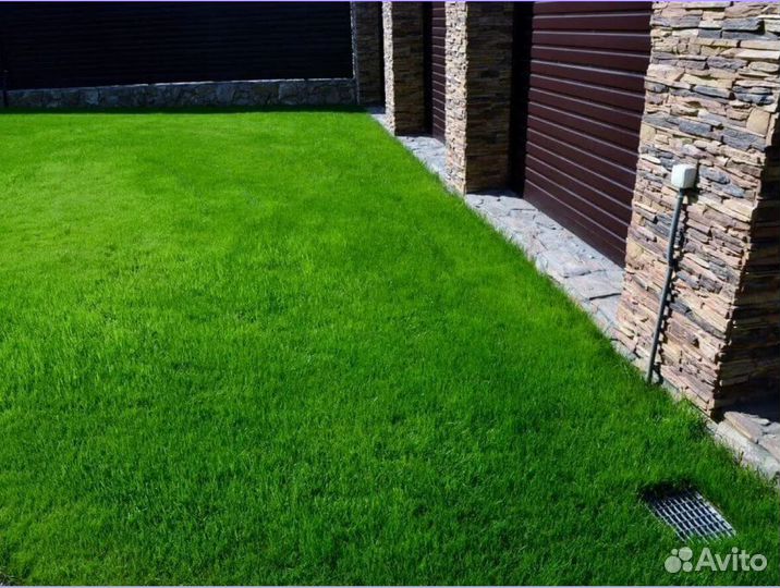 Рулонный газон Элитный