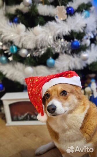 Новогодняя шапочка