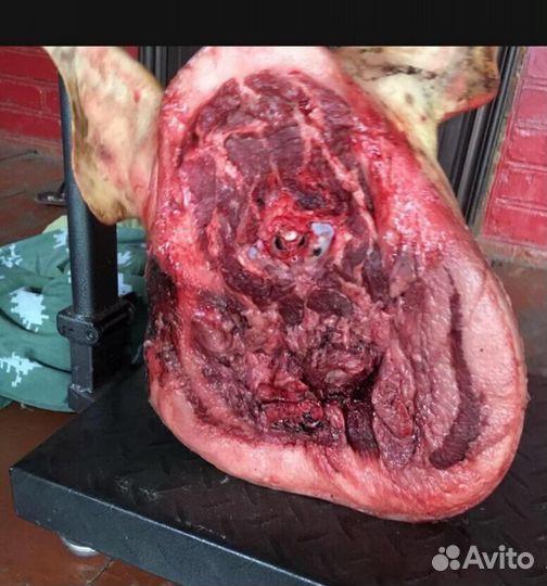 Свиная голова