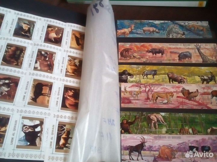 Фауна и флора альбомы 14 шт