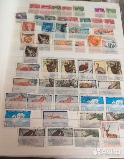 Почтовые марки СССР и зарубежные