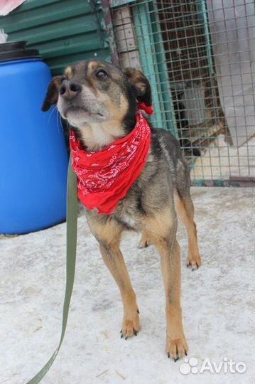 Серхио ищет теплый дом