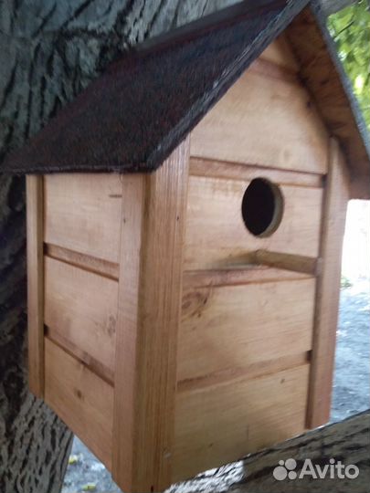 Кормушка, скворечник