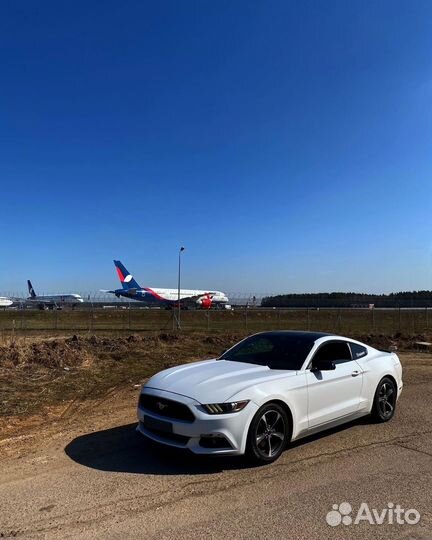 Ford Mustang 3.7 AT, 2014, 160 000 км