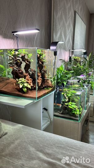 Дизайн и оформление аквариума