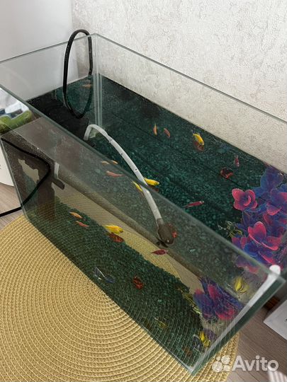 Аквариум с рыбками