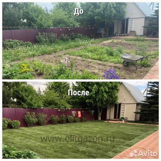 Рулонный газон напрямую от производителя