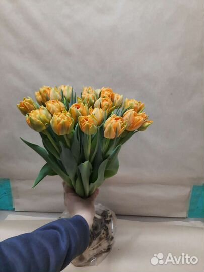 Пионовидные тюльпаны