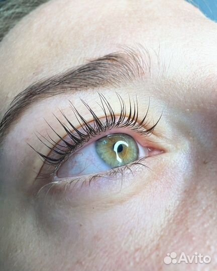 Брови /ламинирование ресниц /перманент