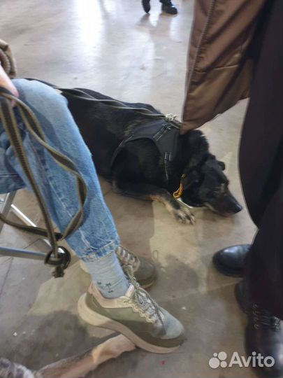 Само спокойствие - вулкан