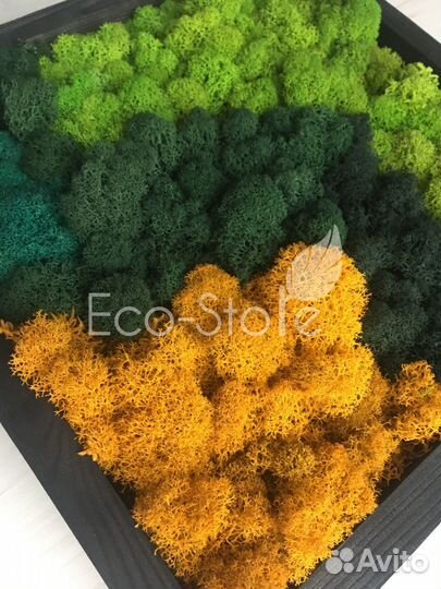 Картина из мха микс оранжевый 30x30 см