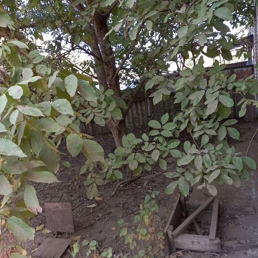 Квартира 2-комн. 50 м² в с. Арзгир — фото 12 из 12