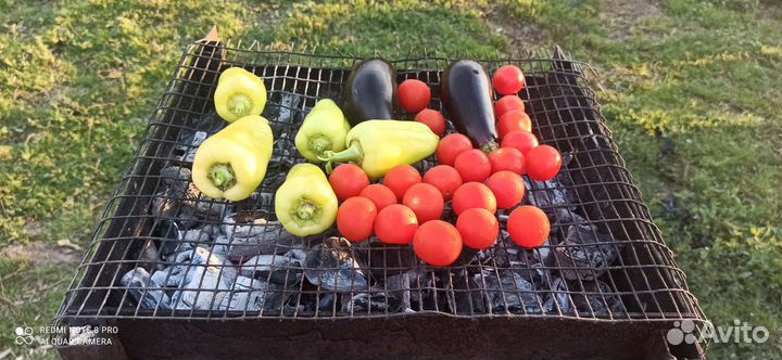 Баклажан, томат