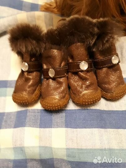 Сапожки для собак