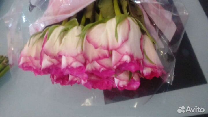 Букеты из 101 розы 24/7