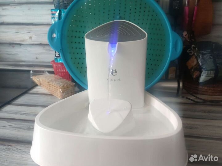 Кошачий фонтанчик