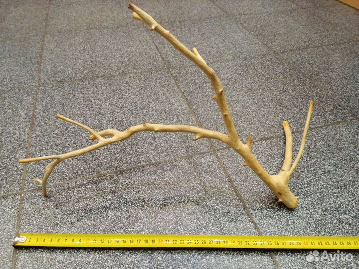 Ветки (коряги) яблони и вишни - продажа/обмен