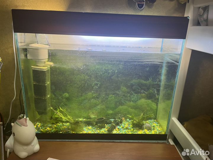 Аквариум