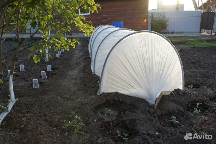 Парник подснежник