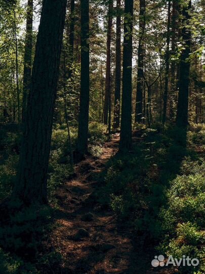 Тур для пенсионеров в Карелию. Нас советуют