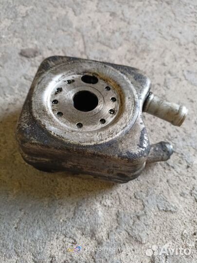 Радиатор масляный volkswagen passat b6