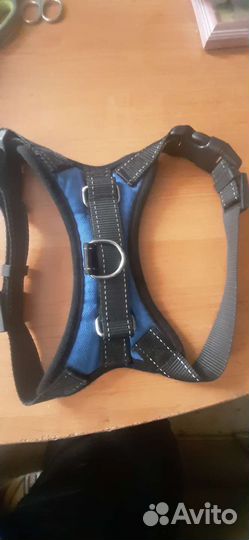 Шлейка для собаки