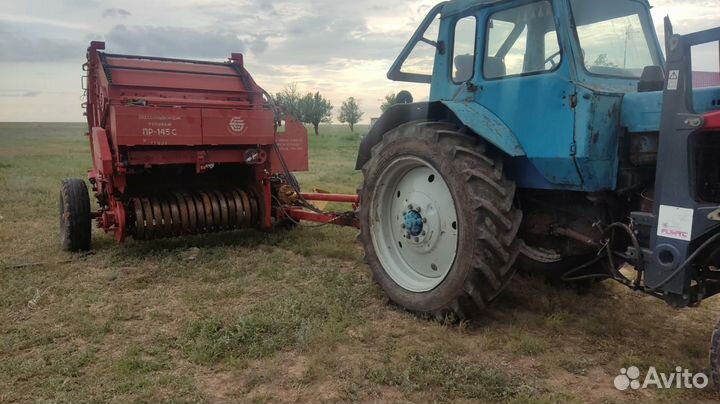 Ягнята барашки