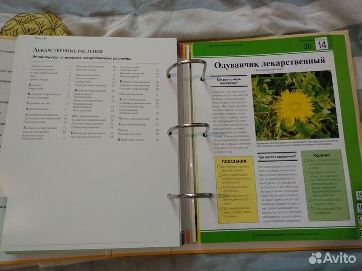 Домашняя медицинская энциклопедия