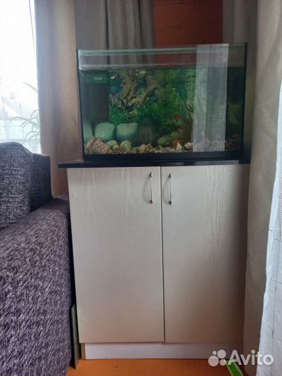 Аквариум