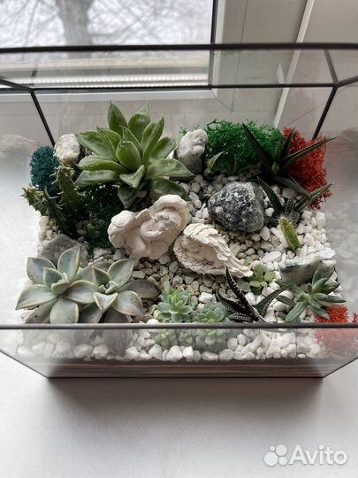Флорариум подарок